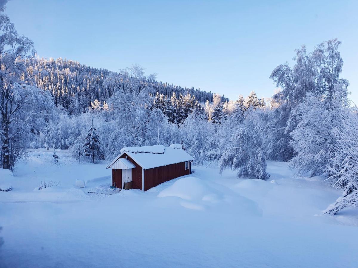 Luxury Guesthouse 'Lodge Lagom' - Hammarstrand-Jaemtland Exterior foto