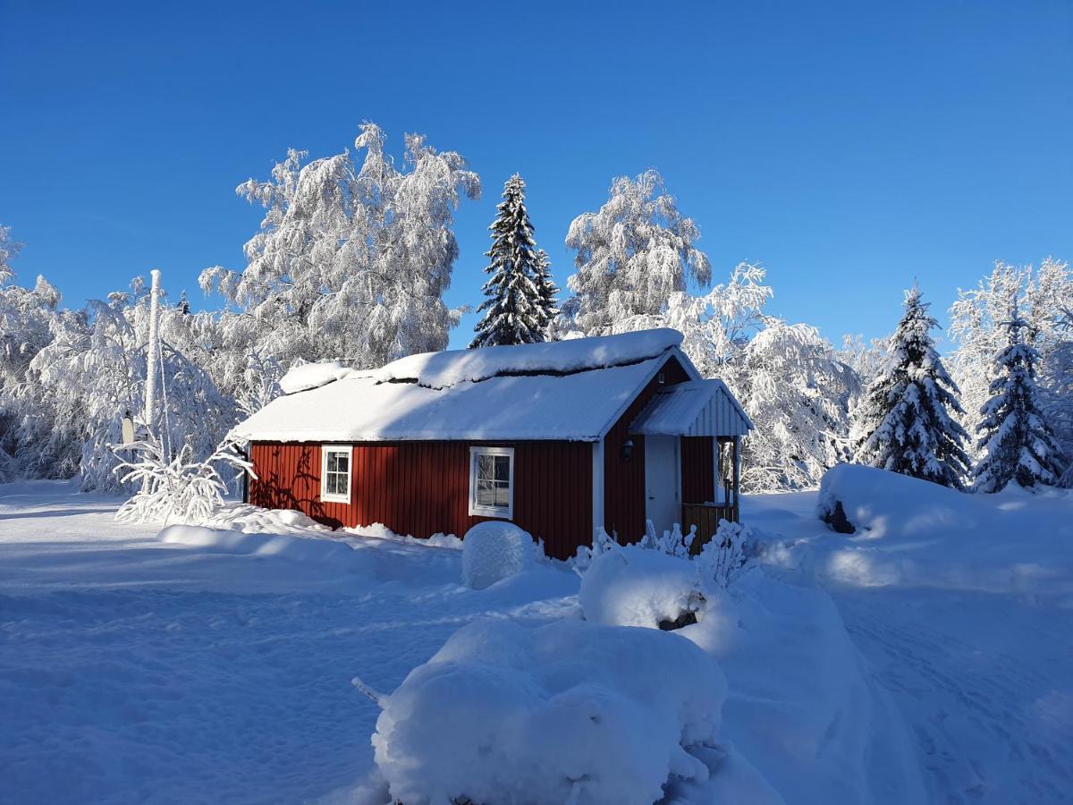 Luxury Guesthouse 'Lodge Lagom' - Hammarstrand-Jaemtland Exterior foto